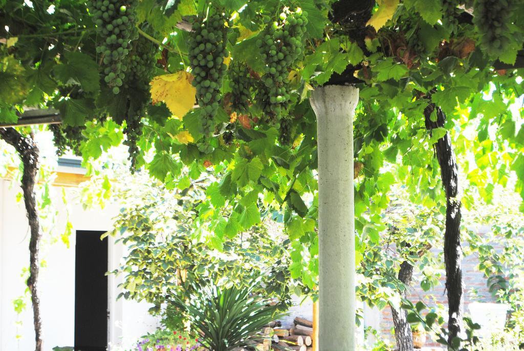 Hostal Petit Verdot Santa Cruz Exterior photo